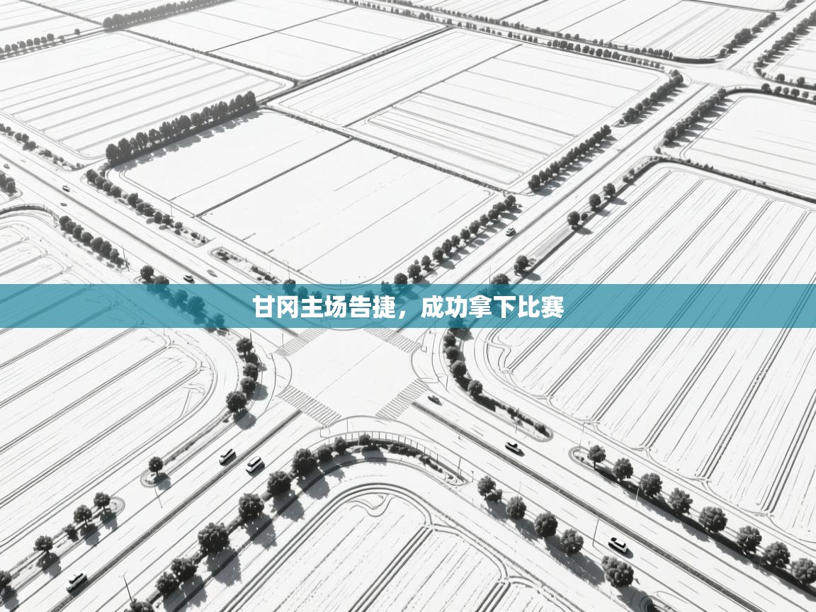 甘冈主场告捷，成功拿下比赛  第2张