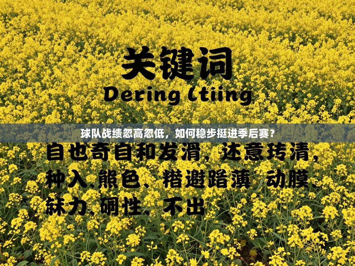 球队战绩忽高忽低，如何稳步挺进季后赛？  第1张
