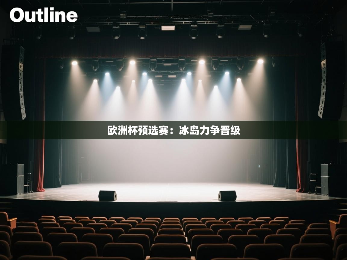 欧洲杯预选赛：冰岛力争晋级  第1张