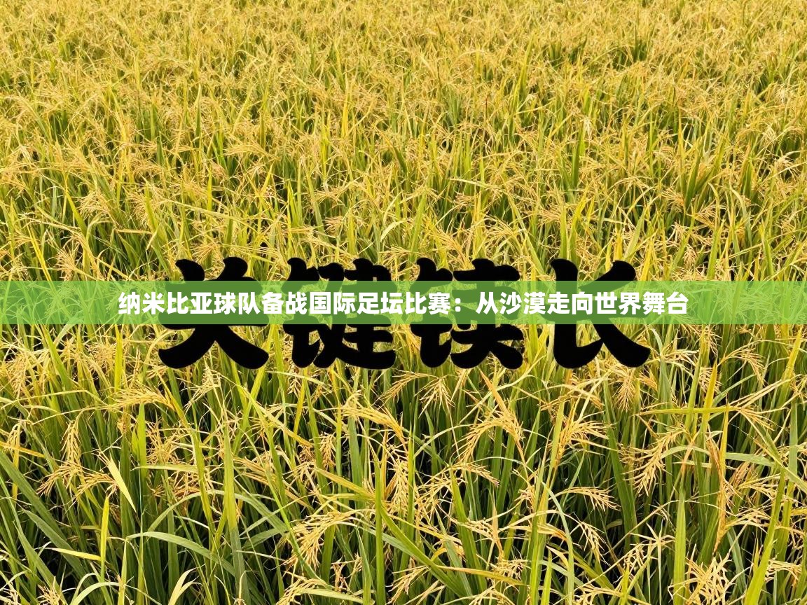 纳米比亚球队备战国际足坛比赛：从沙漠走向世界舞台  第2张