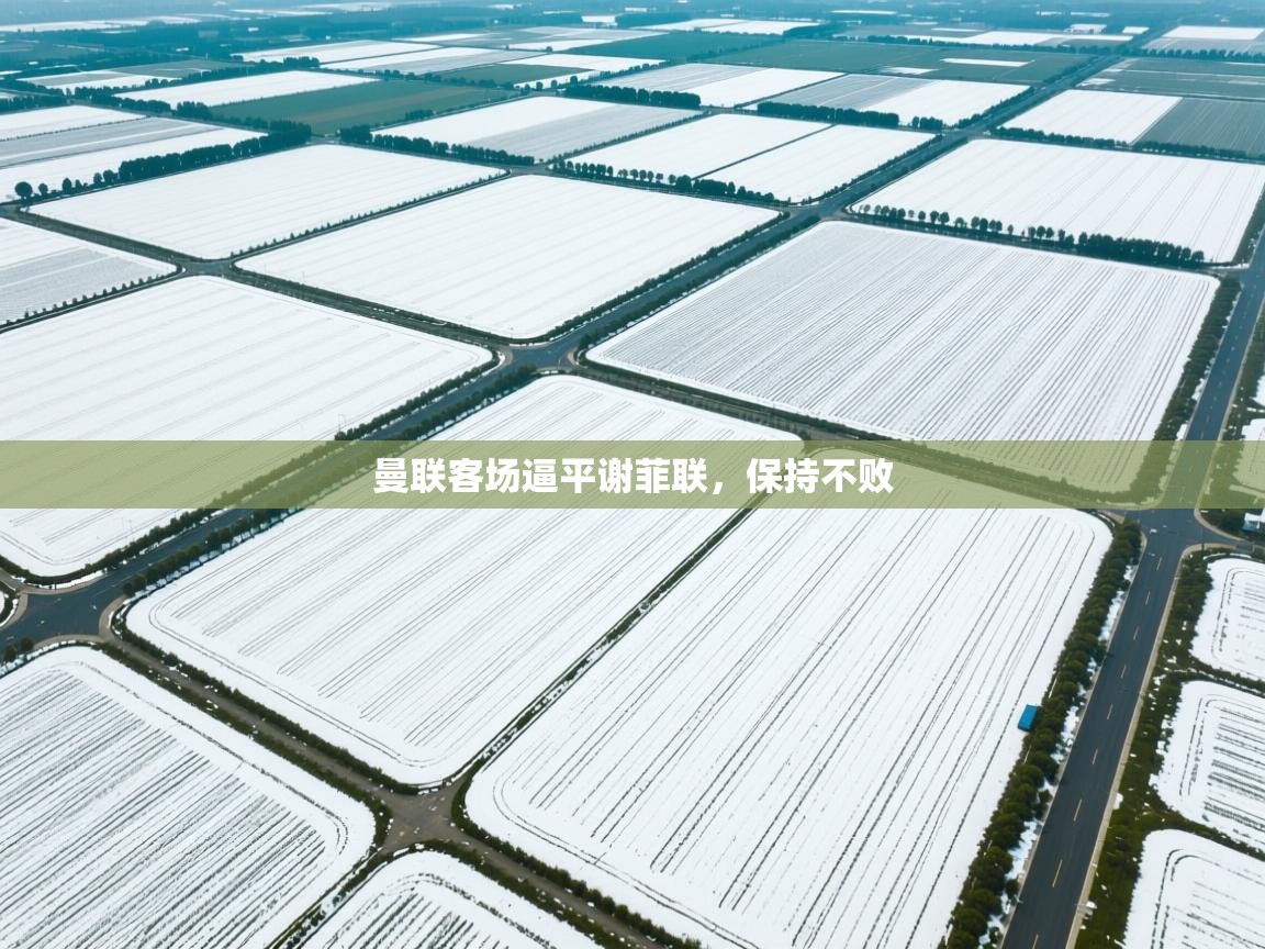 曼联客场逼平谢菲联，保持不败  第1张