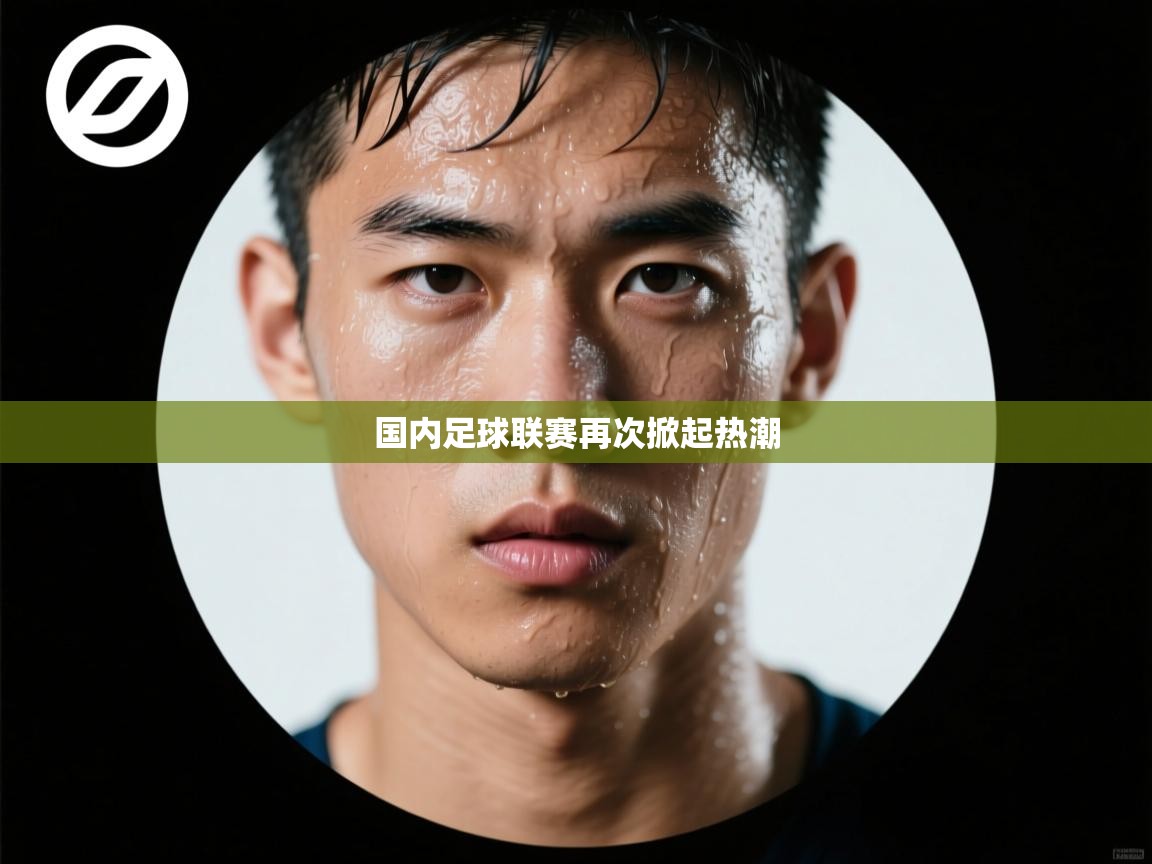 国内足球联赛再次掀起热潮  第1张