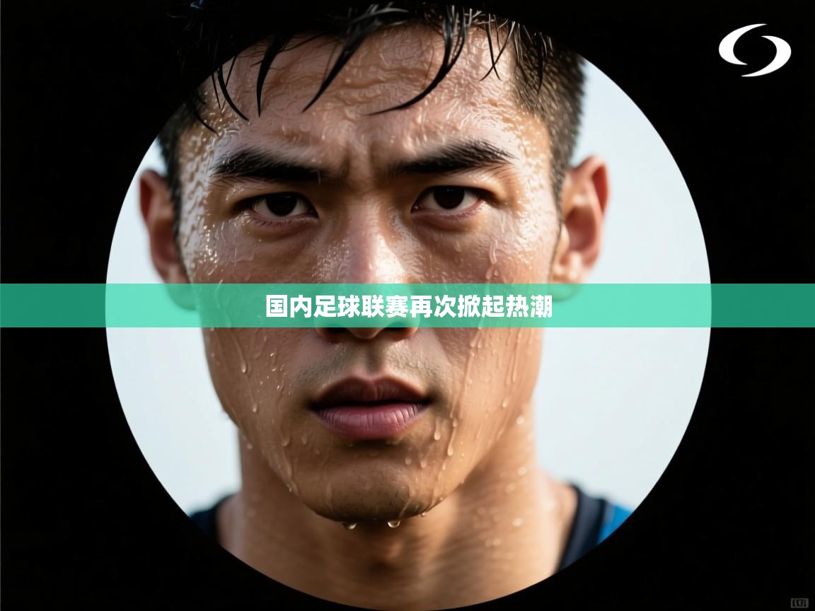国内足球联赛再次掀起热潮  第2张