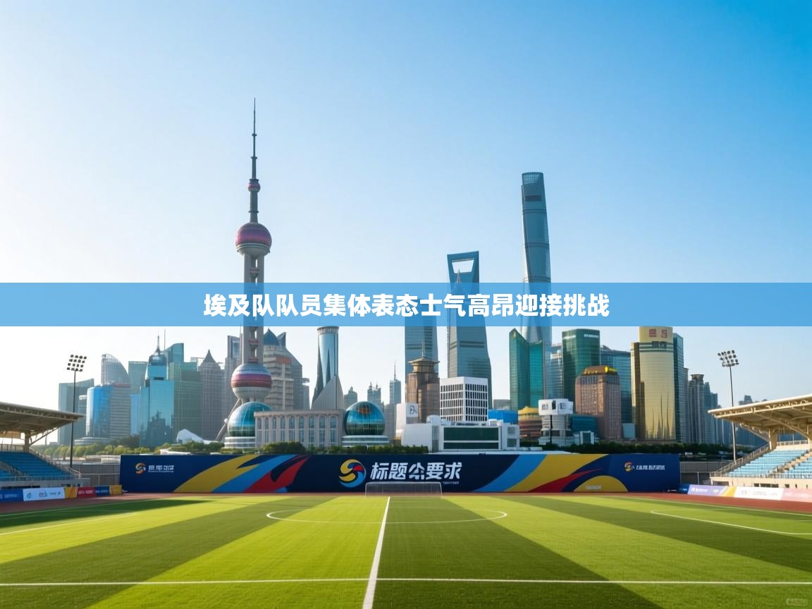 埃及队队员集体表态士气高昂迎接挑战 第2张