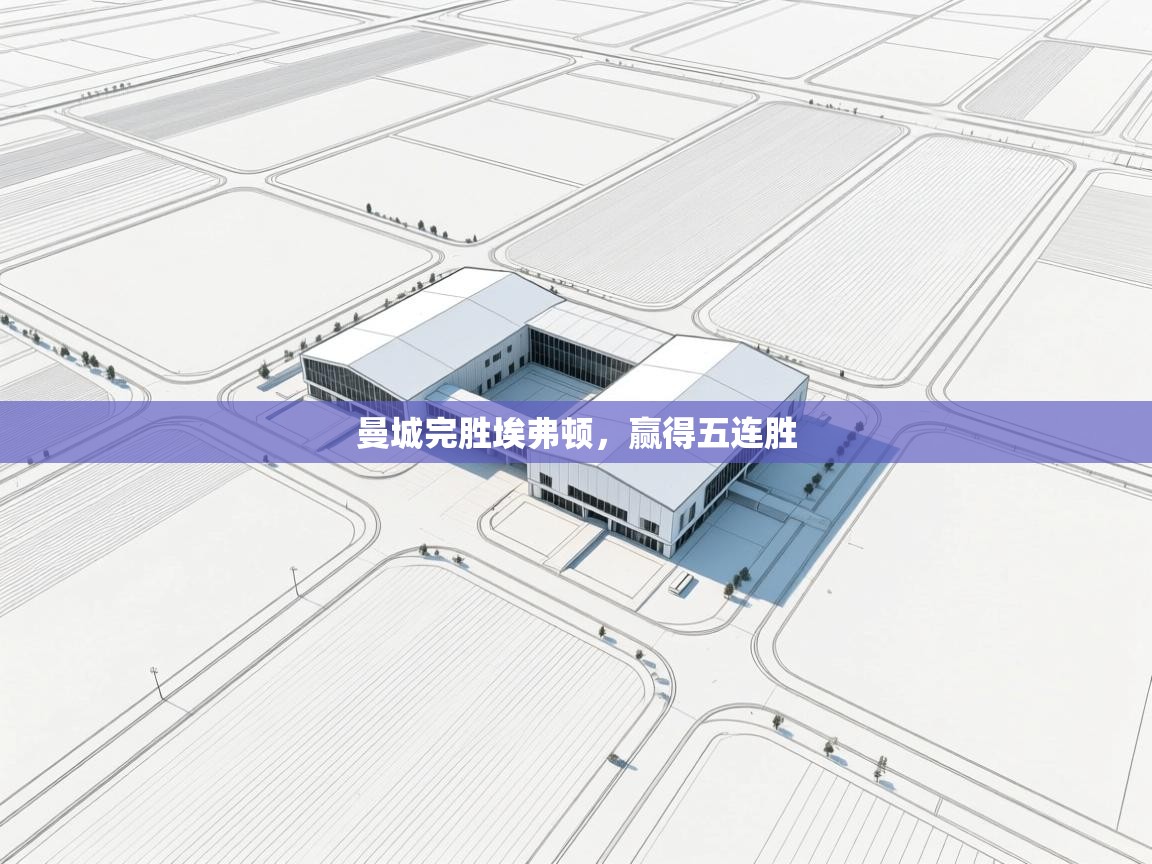 曼城完胜埃弗顿,赢得五连胜 第2张